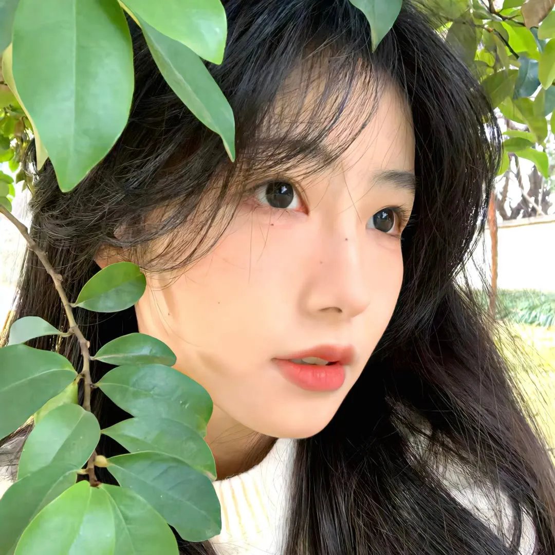 我的中国芯